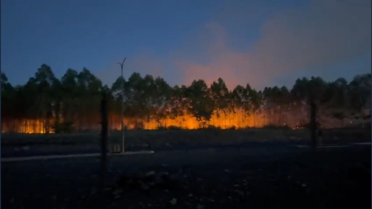 Northland farm on fire. The photo was taken on 27th few minutes to 7pm.